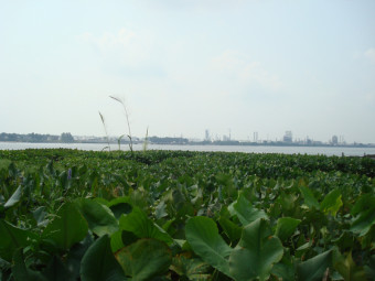 community photo